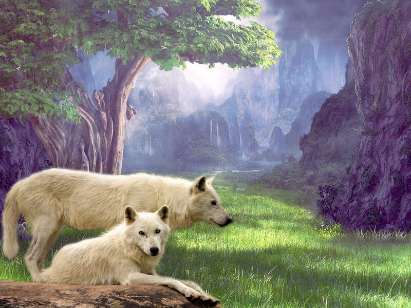 White Wolves in Forest — Green