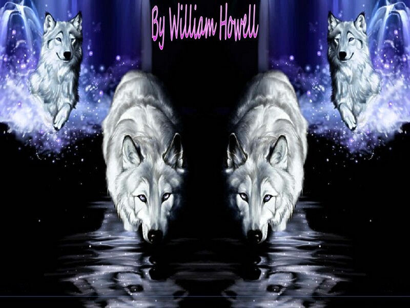 White Wolves in Water — Black