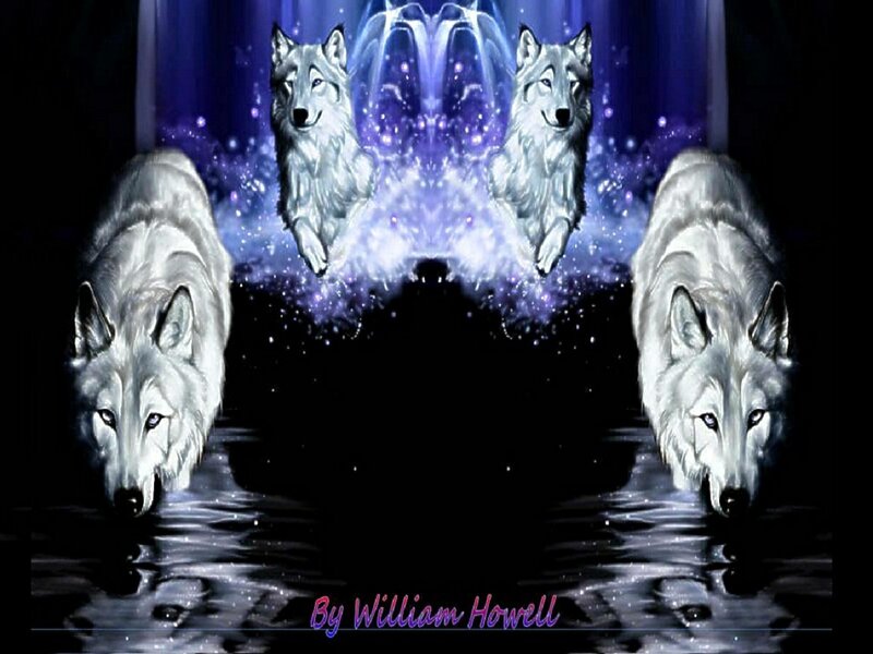 White Wolves in Water