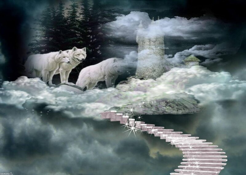 White Wolves on Cloud
