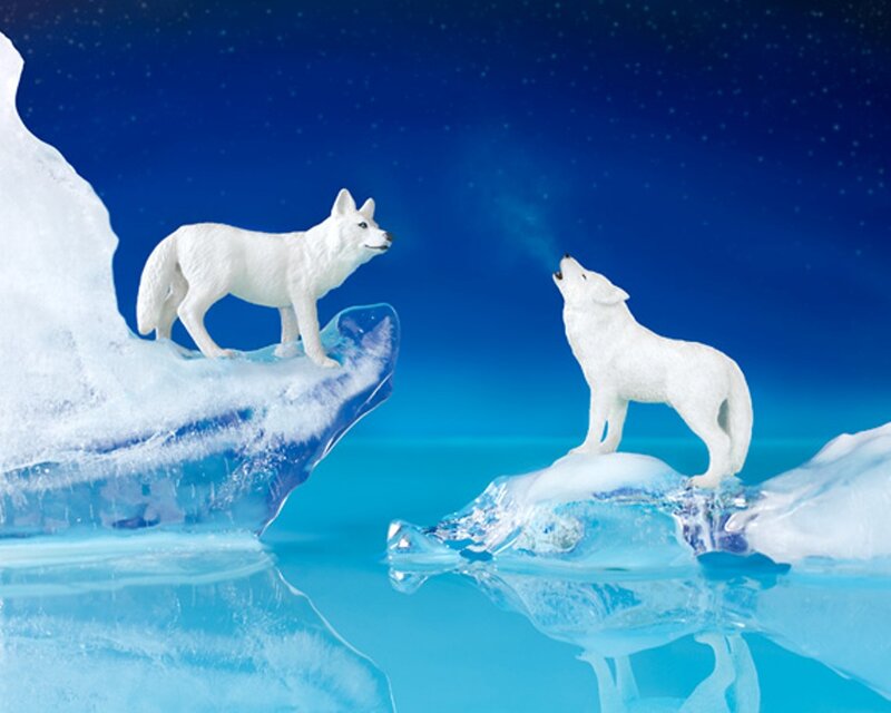 White Wolves on Ice