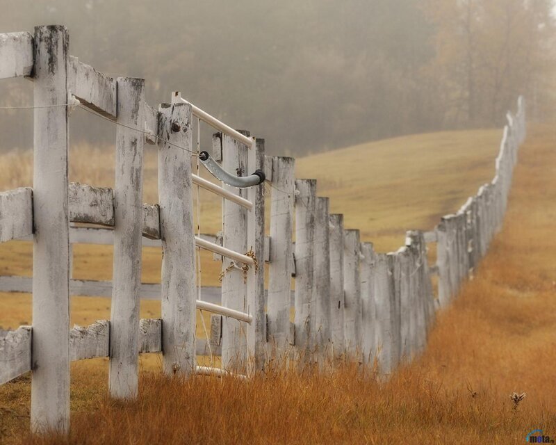 White Wooden Fence — Brown