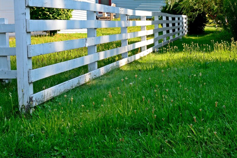 White Wooden Fence — Green