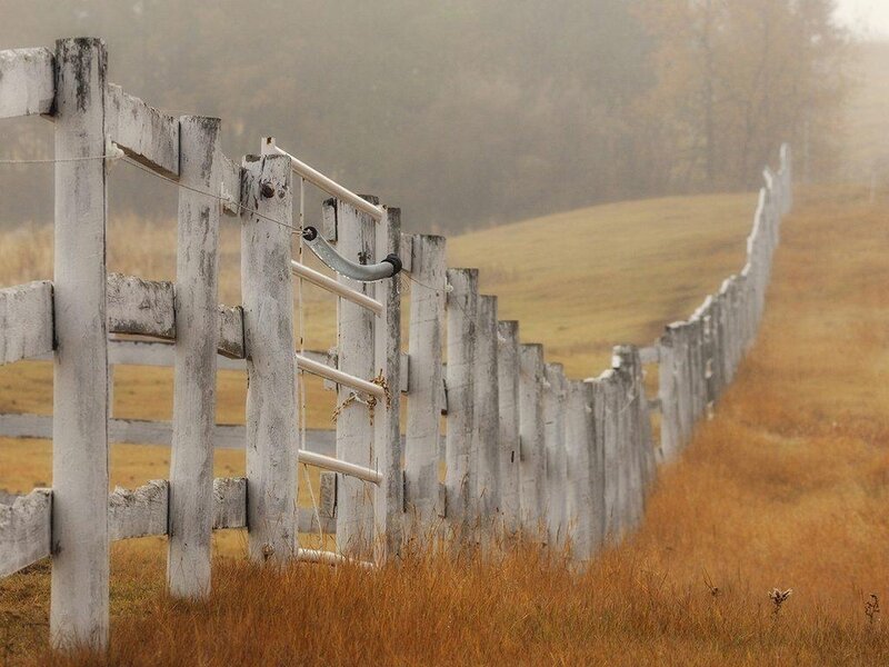 White Wooden Fence
