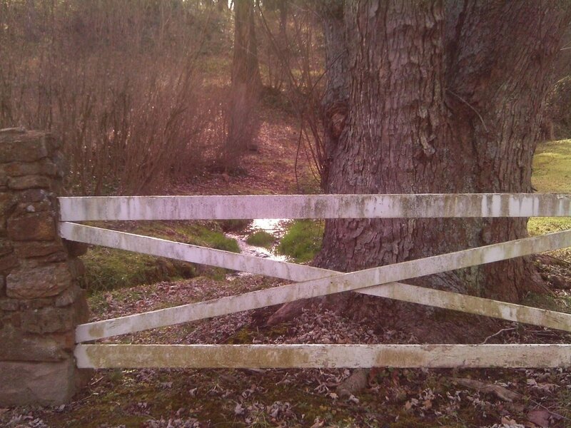 White Wooden Gate