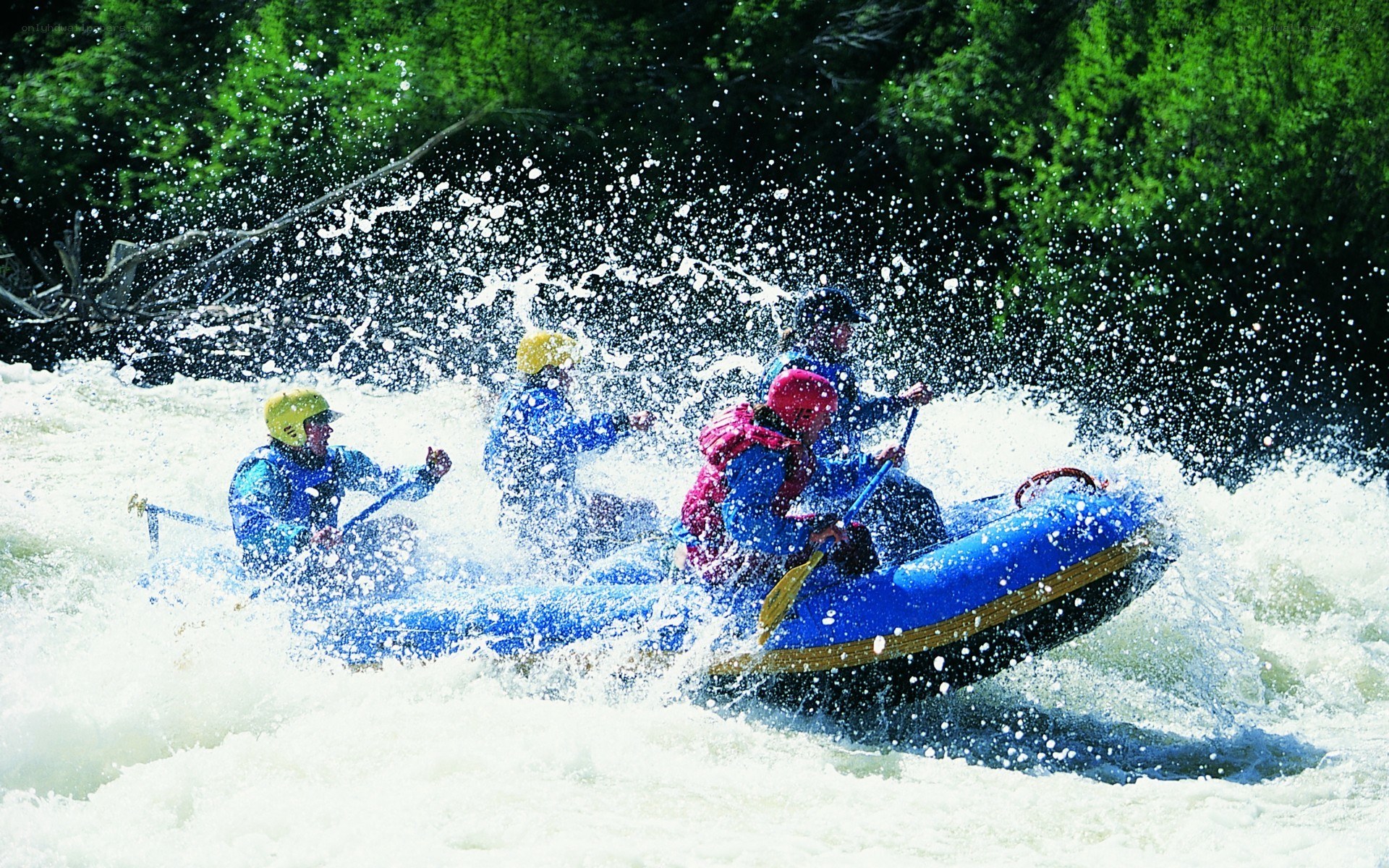 Whitewater rafting adventure