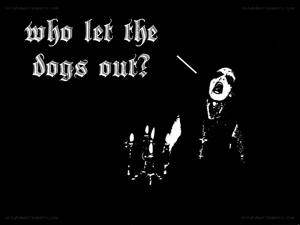 who let the dogs out?