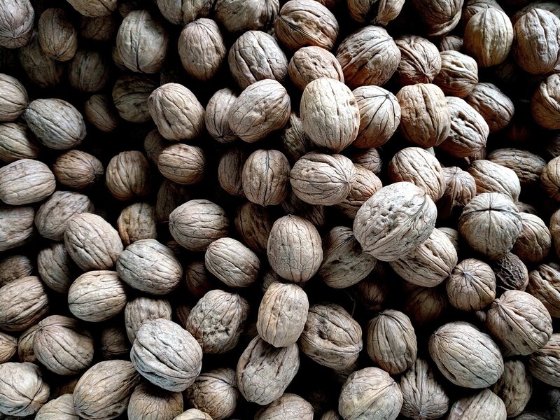 Whole Walnuts in Shell