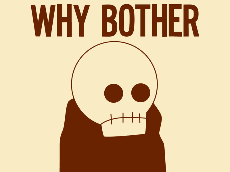 Why Bother skull meme