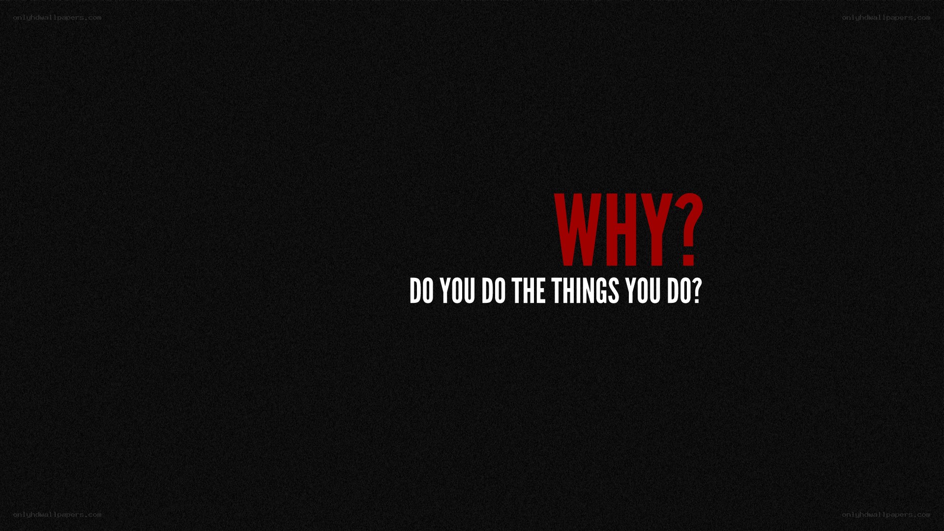 why do you do the things you do