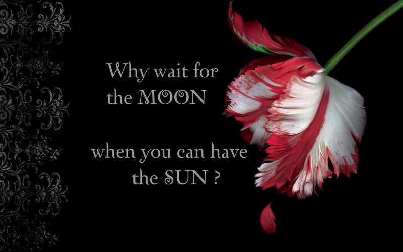Why wait for the moon?