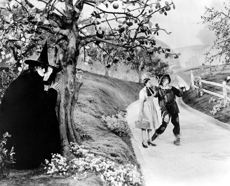 Wicked Witch hiding behind tree
