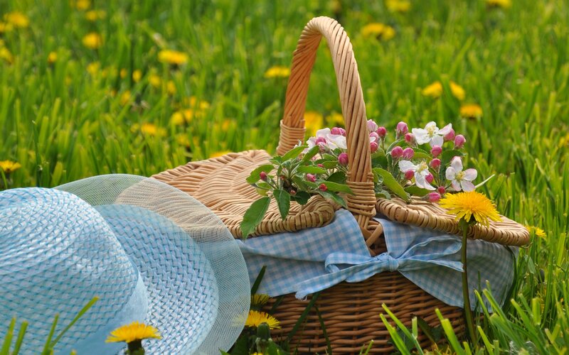 Wicker Basket in Grass