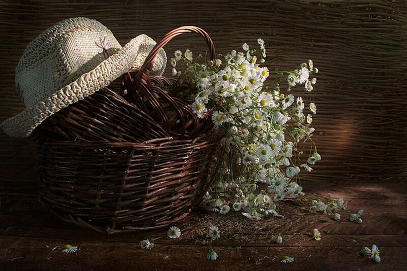 Wicker Basket with Daisies — Brown