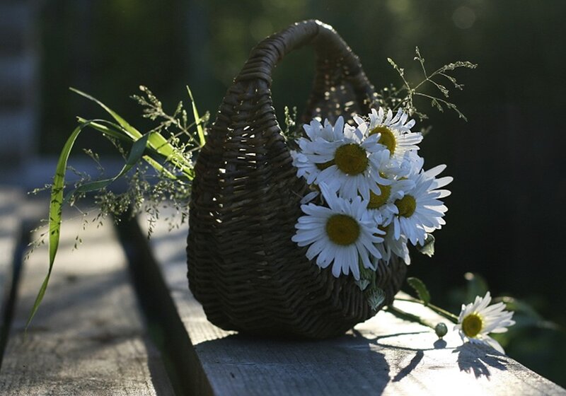 Wicker Basket with Daisies