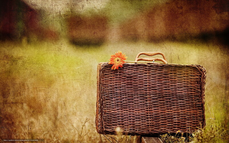 Wicker basket with flower