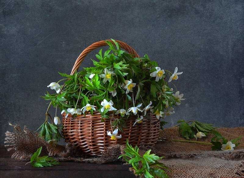 Wicker Basket with Flowers — Brown, Calm, Photograph, Leaves
