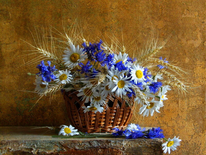Wicker Basket with Flowers — Brown