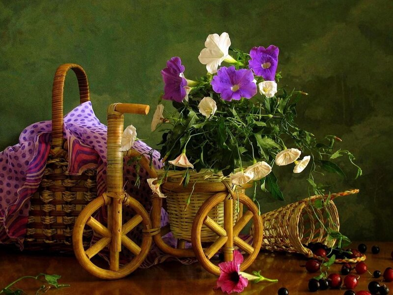 Wicker Basket with Flowers — Green, Calm, Photograph