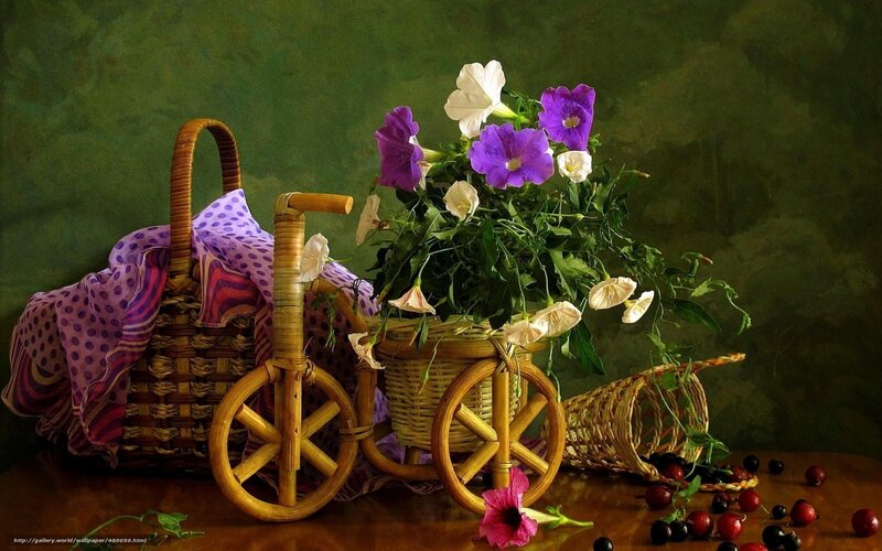 Wicker Basket with Flowers — Green, Serene, Photograph, Fruit