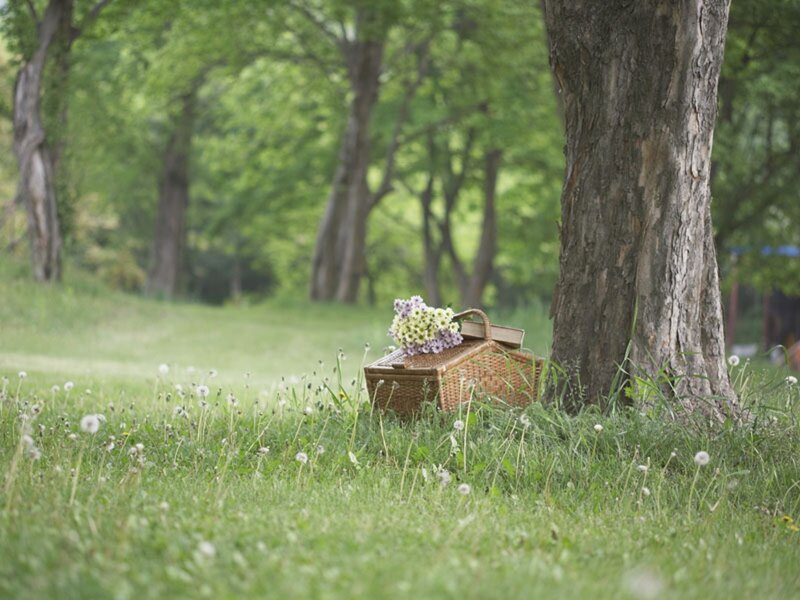 Wicker Basket with Flowers — Green