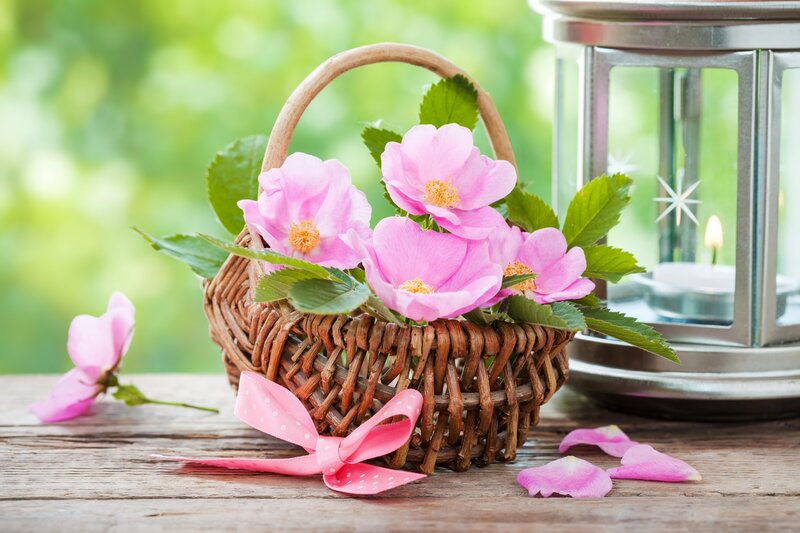 Wicker Basket with Flowers — Pink, Serene, Spring, Photograph