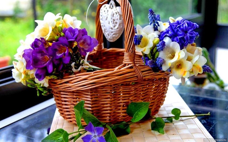 Wicker Basket with Flowers — Purple, Serene, Spring, Photograph