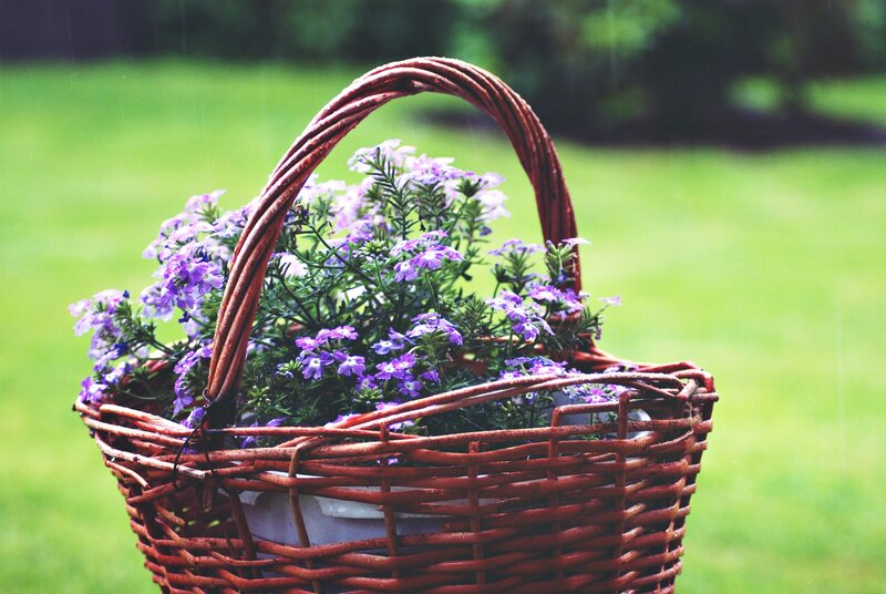 Wicker Basket with Flowers — Purple, Serene, Spring
