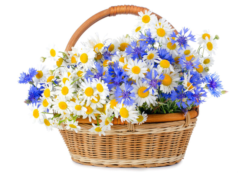 Wicker Basket with Flowers — White, Calm