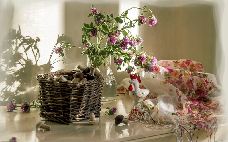 Wicker Basket with Flowers — White, Serene, Morning, Photograph