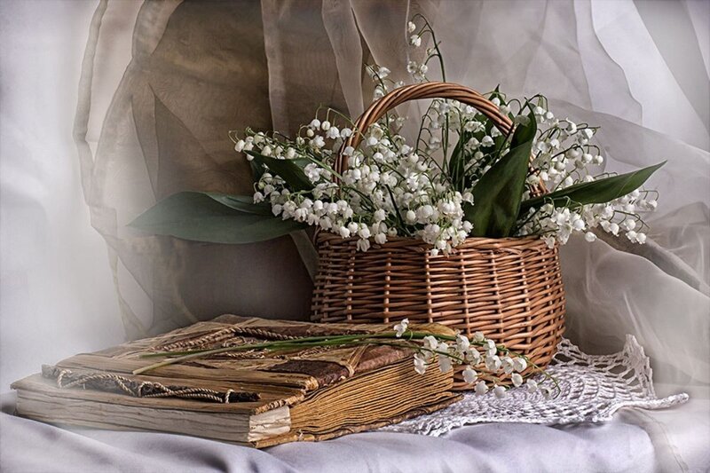 Wicker Basket with Flowers — White, Serene, Photograph