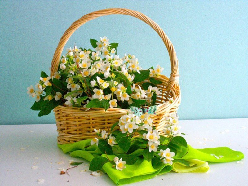 Wicker Basket with Flowers — White, Serene, Spring