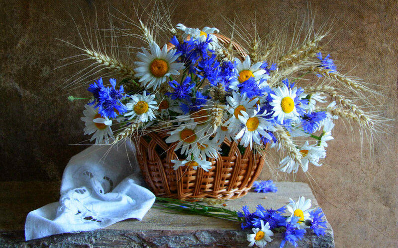 Wicker Basket with Flowers — White, Serene, Summer