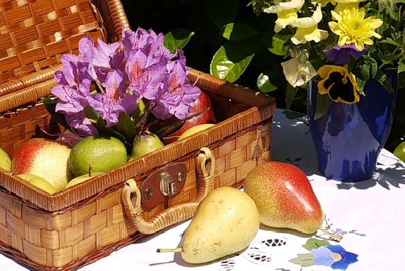Wicker Basket with Fruit — Brown