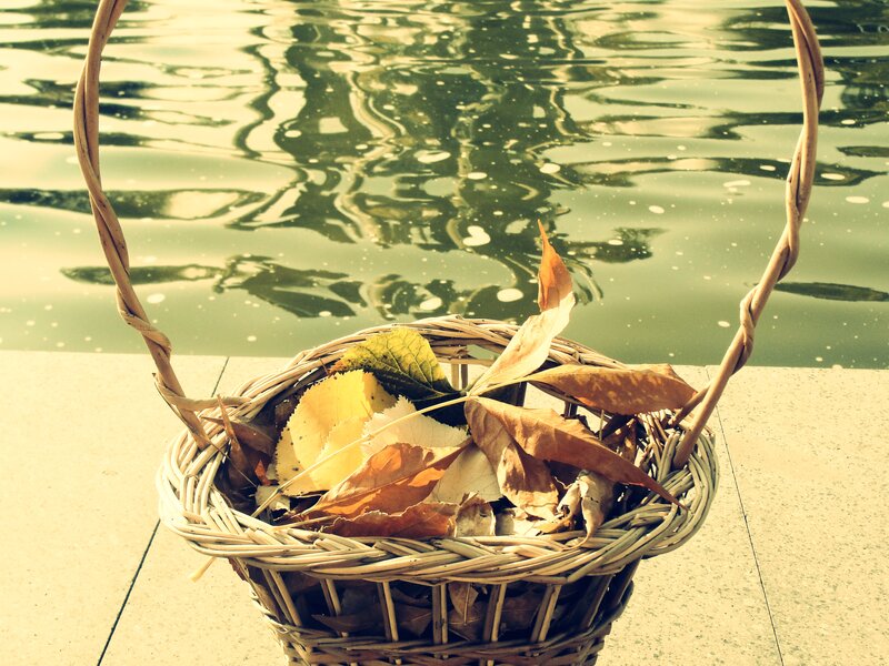 Wicker Basket with Leaves — Brown