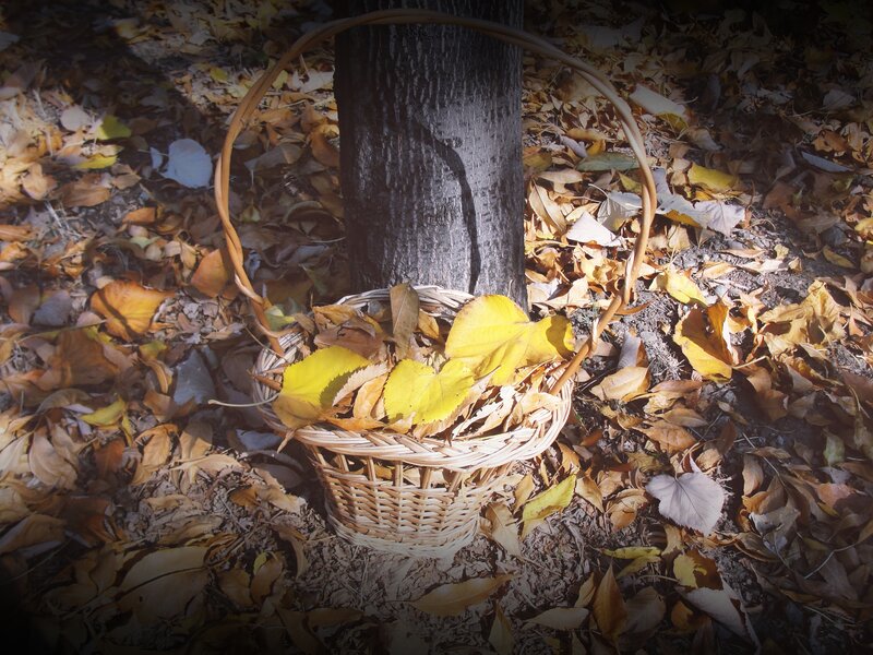 Wicker Basket with Leaves