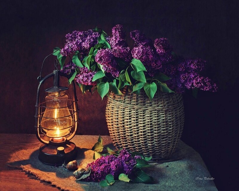 Wicker Basket with Lilacs — Purple, Dramatic