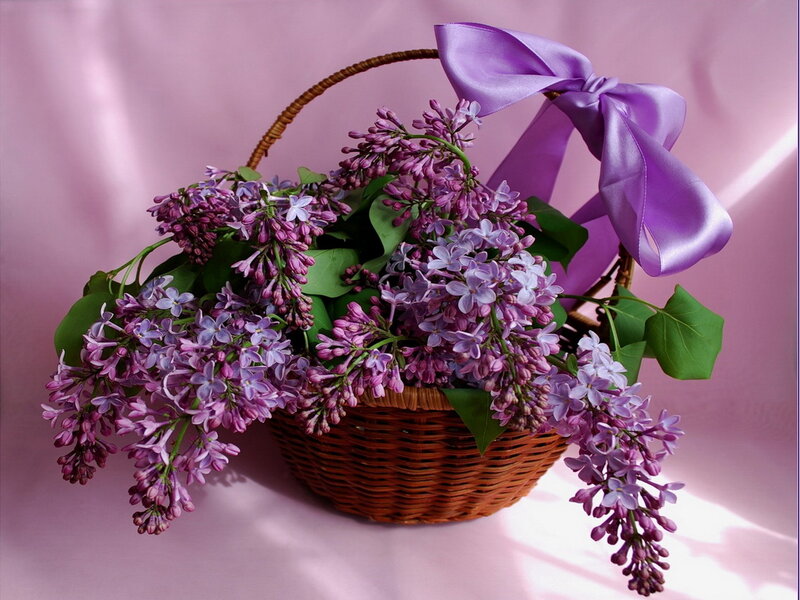 Wicker Basket with Lilacs — Purple, Serene, Spring