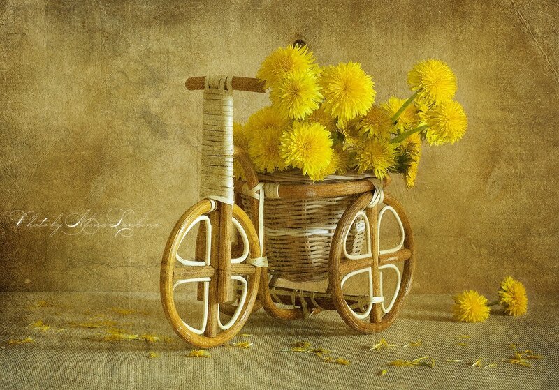 Wicker Bicycle with Dandelions