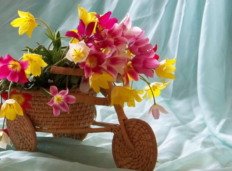 Wicker Bicycle with Flowers