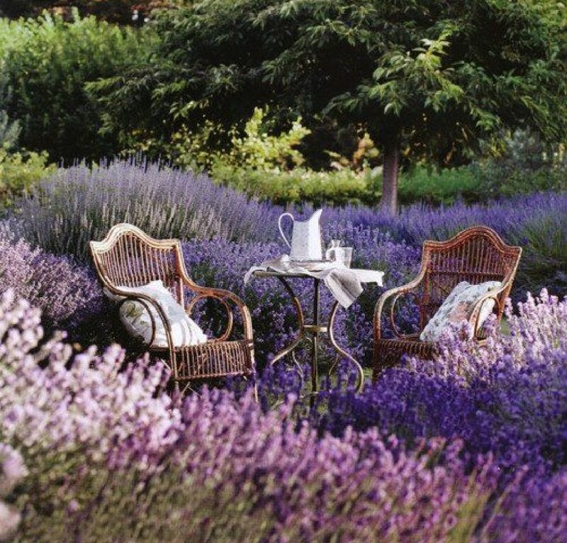 Wicker Chairs in Lavender — Purple