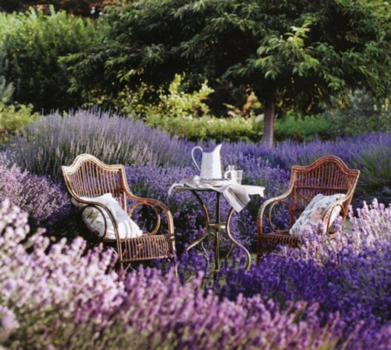 Wicker Chairs in Lavender