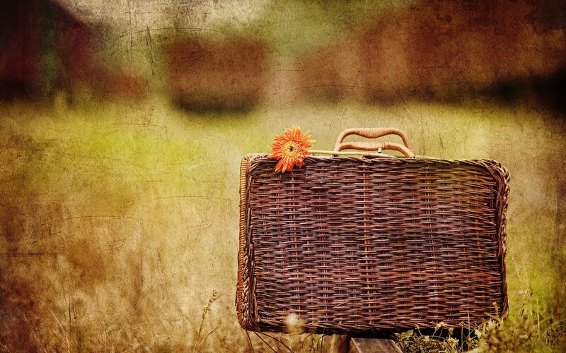 Wicker Suitcase with Flower — Brown, Nostalgic