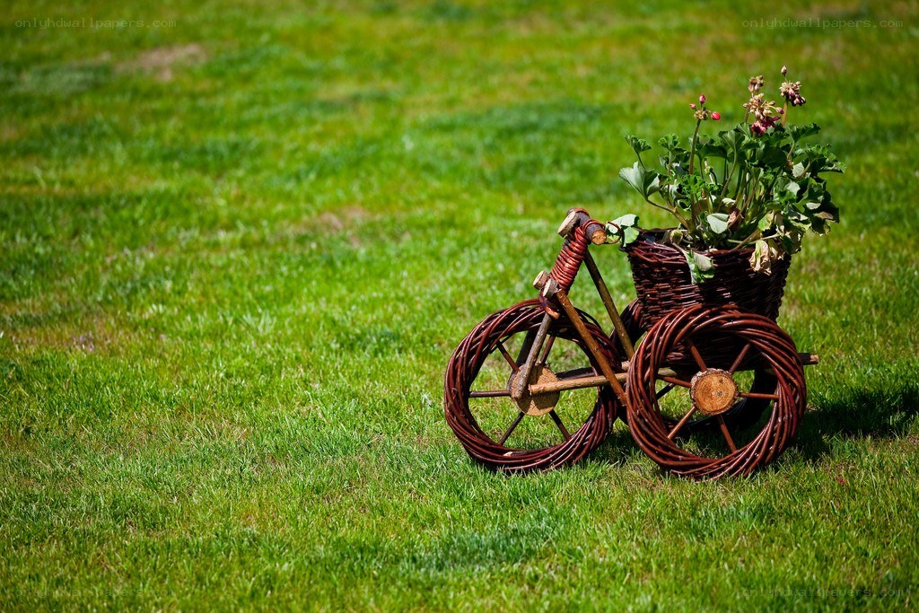 wicker tricycle with flowers