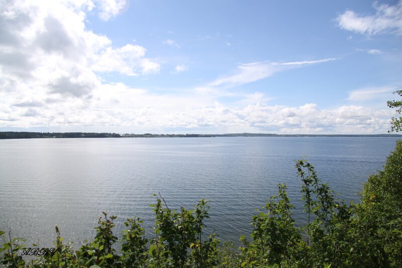 Wide Lake View