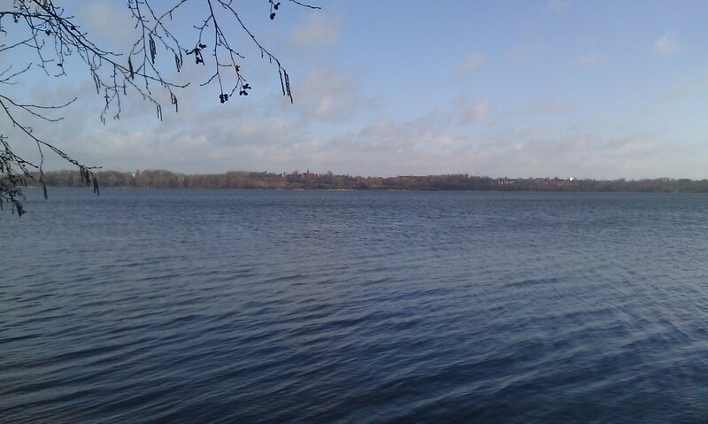Wide Lake with Trees