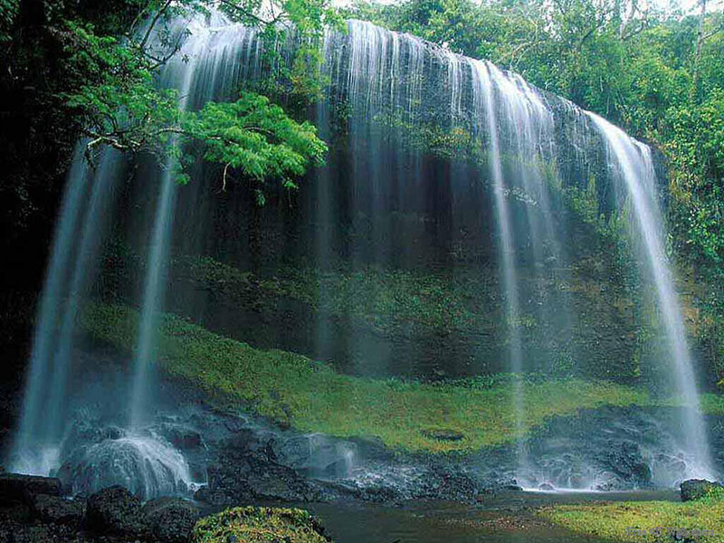 Wide Waterfall in Forest — Green, Serene