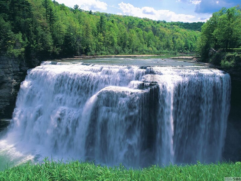 Wide Waterfall in Forest — Green