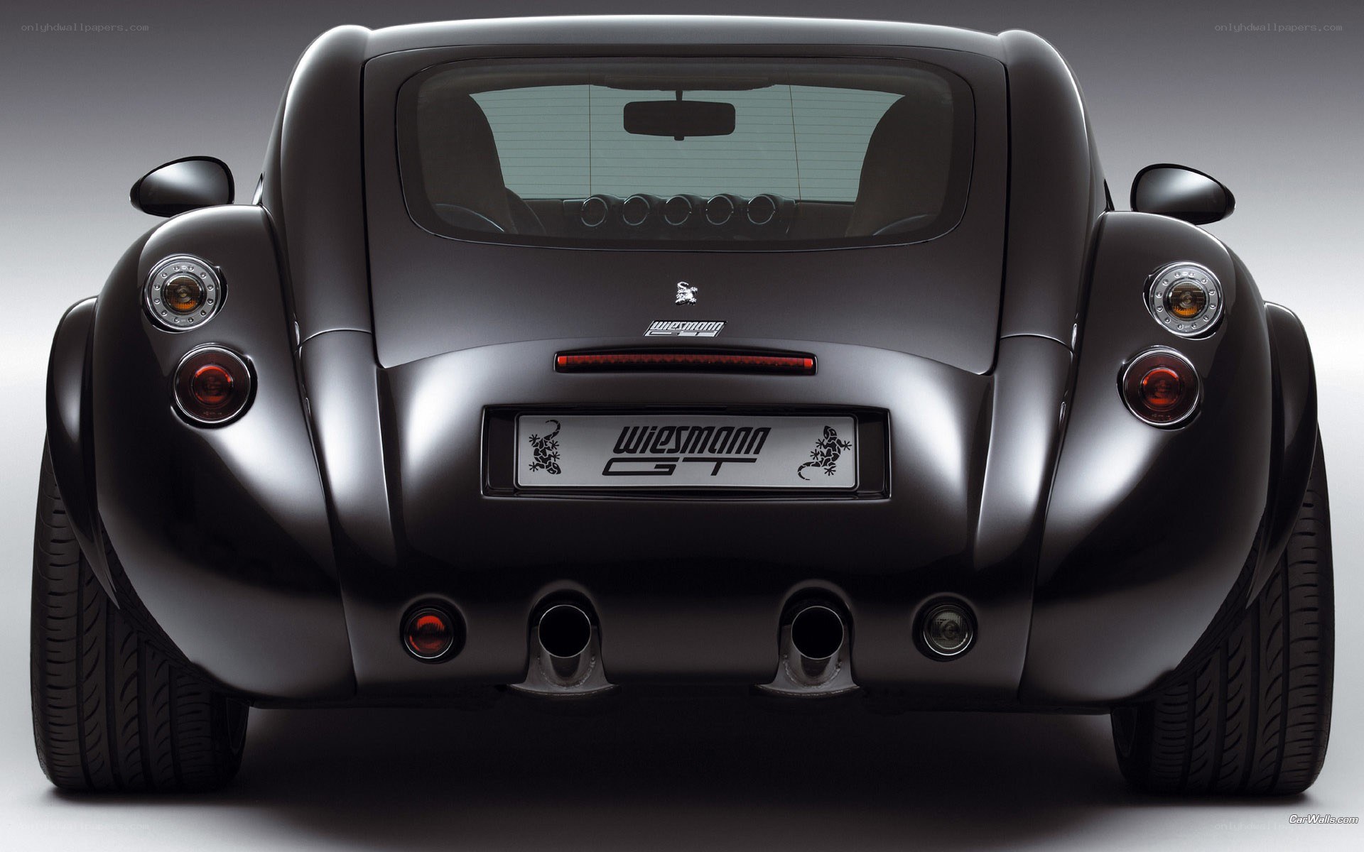 Wiesmann GT rear view