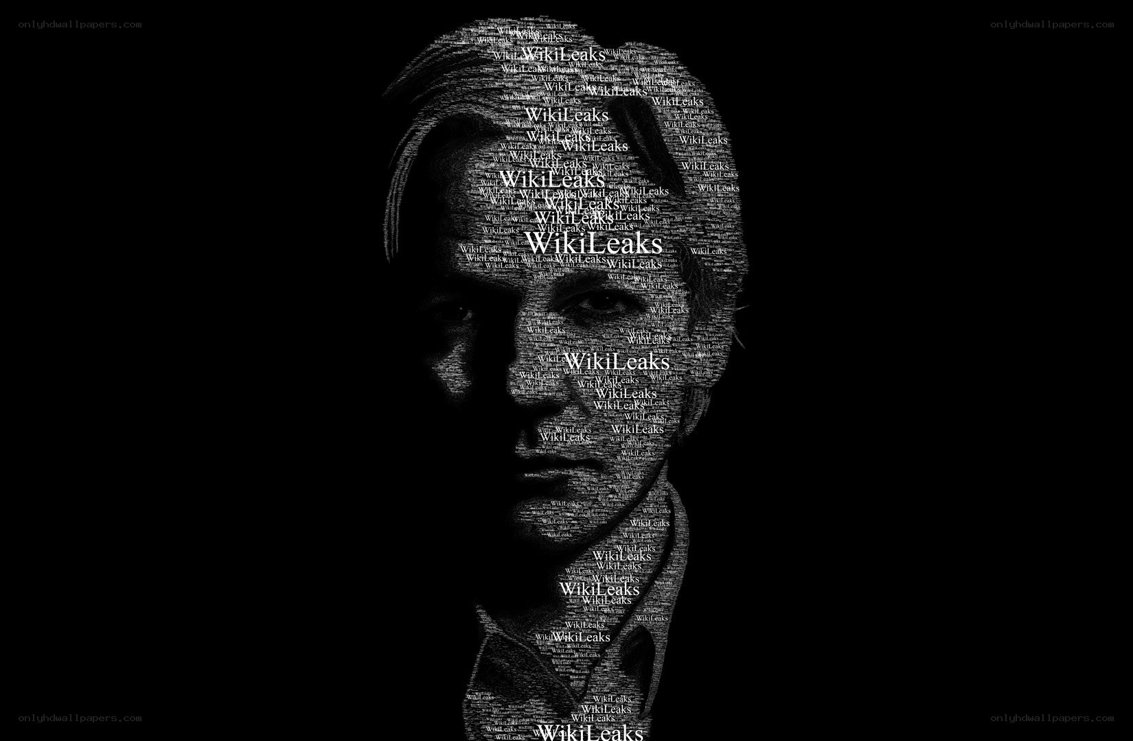 WikiLeaks text portrait